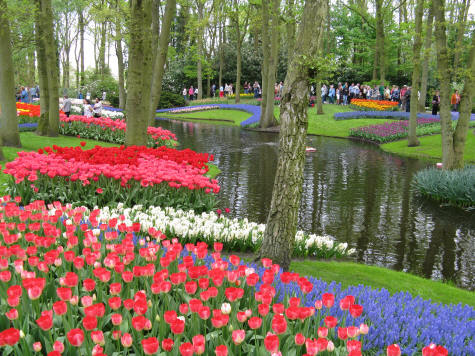 Keukenhof Gardens near Haarlem Holland