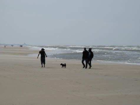 Zandvoort Beach near Haarlem Holland